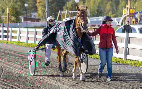 Enon Vilppi, Jari Autio ja Katja Luoma ovat vahvasti menossa Kouvolaan.
