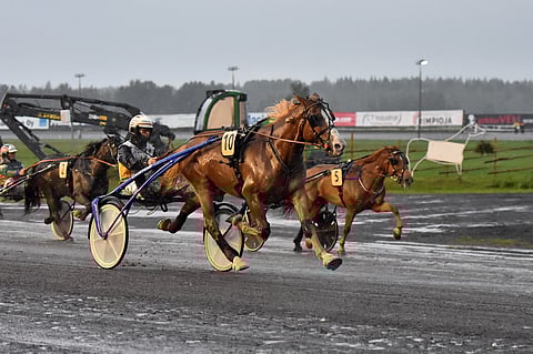 Stallone juoksee Ruunaruhtinaassa kolmatta kertaa. Se ei ole hävinnyt vielä yhtään osamatkaa eli saldo on perjantain jälkeen 5/5.