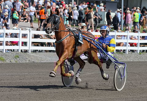 Lumettaja on Terho Rautiaisen tallin ykkösnimi.
