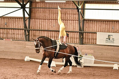Vuokko Toivanen ja Laki.