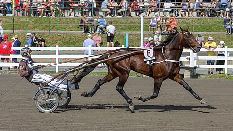 Hail Mary juoksi Mikkelissä kesällä kakkoseksi.