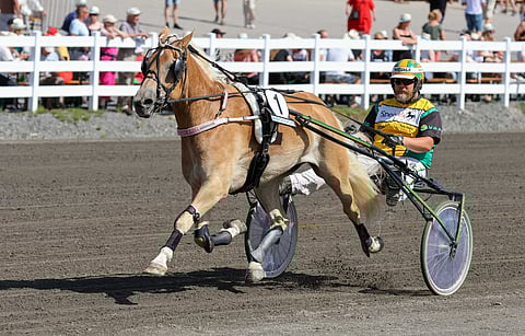 Hentun Liisa starttaa lauantain ensimmäisessä lähdössä numerolla seitsemän. Rattailla istuu tuttuun tapaan valmentaja Teemu Okkolin.