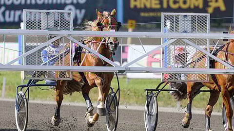 Seinäjoella kisataan ensi viikolla suomenennätysjahdissa.