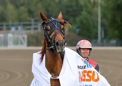 Viime vuosina Lakan Leijan ohjastuksesta usein vastannut Santtu Raitala jatkaa tamman rattailla myös Teivossa.