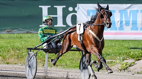Whodouthinkuare voitti elokuussa Teivossa Toto75-lähdön Jukka Torvisen ohjastamana.