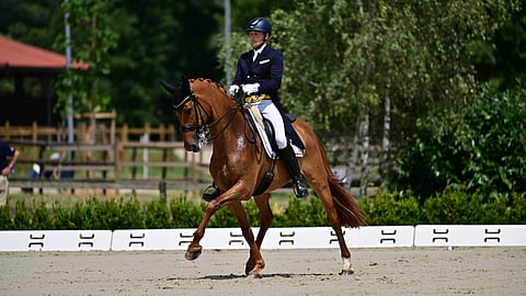 Campari Crozet'n kisoissa elokuun alussa. 15-vuotias hannoverinruuna on parhaimmillaan häikäisevä ilmestys, mutta kiirettä sen kanssa on pitänyt.