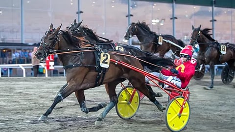 Joviality voittaa karsinnan johtopaikalta. Kuva: