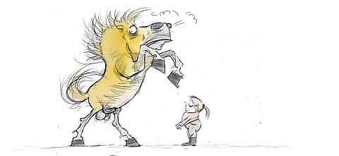 Oriin pitäjä on hevosensa personal trainer, time-manager, markkinointipäällikkö ja seksuaaliterapeutti.