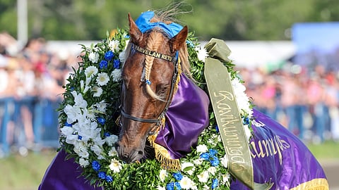 Ravikuningas Parvelan Retu palaa tauon jälkeen radoille Toto65-kierroksen päättävässä Nordic King Heatissa. Toto65-peliaika päättyy klo 15.15. Ravien lähdöissä 5 - 9 on Kaksarissa 1000 euron bonus.