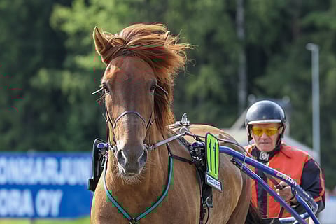 Juhani Heikkisen mielessä siintää Kouvolan koitoksen jälkeen jo kotirata Jyväskylän Kuninkuusravit.