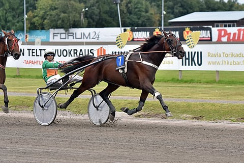 Ivar Journey on Laivakankaan Iso Vitosen ideavarma.