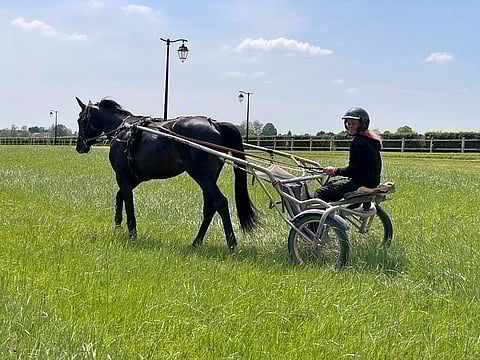 Vilja Paunonen vaikuttaa tällä hetkellä Ranskan Grosboisissa.
