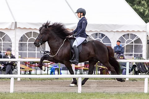 Veera Sirén ja Viktor fra Reykjavik esittävät tölttiä vapain ohjin.