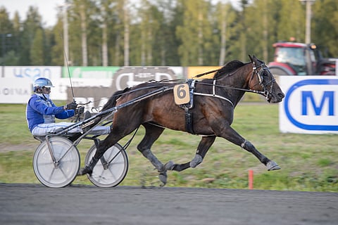 Jarmo Saarela tarjosi Cartivet Meetingin finaalissa Bergelmirille onnistuneen reissun, minkä 6-vuotias ruuna palkitsi komealla kirivoitolla.