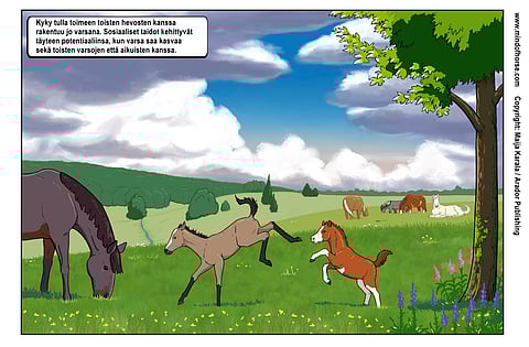 Uudenlainen hevos- ja tiedekirja on herättänyt laajaa kiinnostusta.