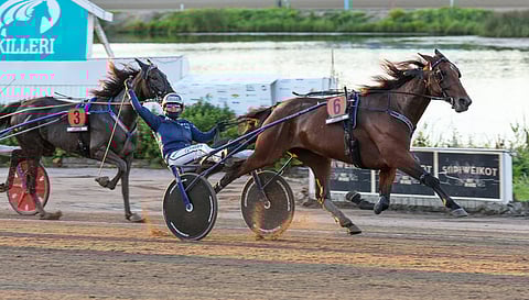 Emma Väre listasi 5-vuotiaiden tammojen Kasvattajakruunu-karsintavoiton Cream Candyn viimeisimmäksi erityisen tunteikkaaksi onnistumiseksi.