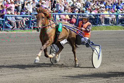 Virin Varpu jää pois kuningatarkilvan pitkältä matkalta.