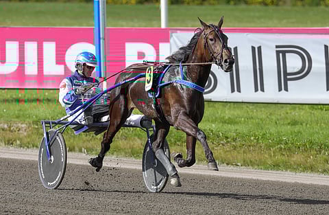 Pekka Korven Sofia Evo on sopiva ideavarma Vermoon. Derbyn Tammachampionissa valjakko starttaa mainiolta kakkosradalta.