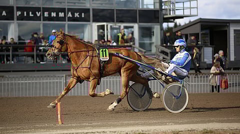 Suomenhevosten Pilvenmäki Special finaalissa Taraori joutui tyytymään kahdeksanteen sijaan.