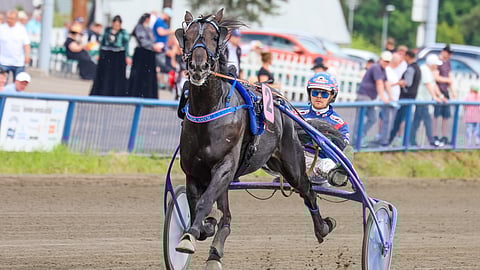 Olli Koivunen sai nauttia Crepe Matchin valtavasta kiristä, joka vei valjakon ulkoratoja derbyvoittoon.