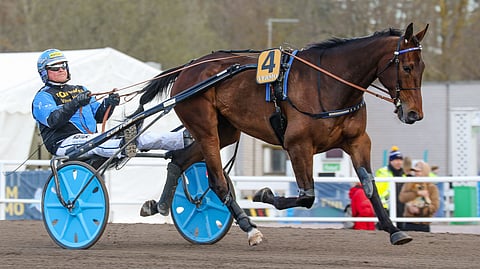 Piece Of Hero on vauskohteen tukipilari.