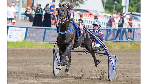 Olli Koivusen ohjastama Crepe Match suuntaa St. Legeriin karsintavoittajana.