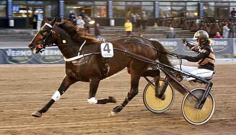 Proven Immigrant toi Oona Halmeelle toisen hänen kahdesta 65-voitostaan.