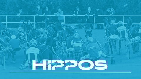 Näin Suomen Hippos reagoi ravivalmentajien oikeudessa saamiin tuomioihin