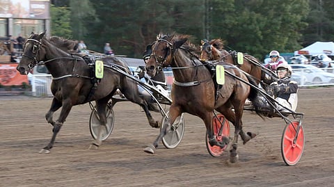 Harri Koivusen valmentama Backgammon Garden (1) siivitti Tuukka Variksen Junioritähti-kilpailusarjan voittoon.