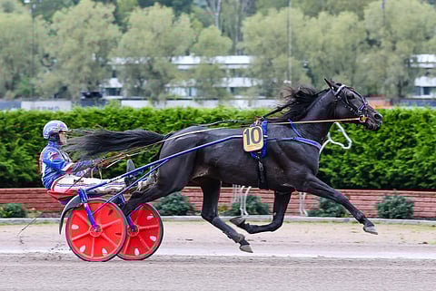 Crepe Matchilla ei ole vielä startteja tältä kaudelta. Lähtöpaikaksi Seinäjoki Raceen sille arvottiin rata kuusi.