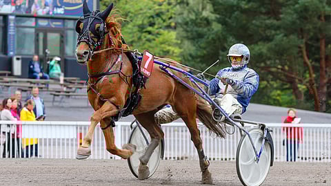 Suvionni on voittanut tänä vuonna jo kahdesti.