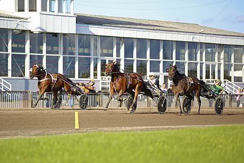 True Devotion (11) kirii toisen osalähdön jättiyllätykseen. Velvet Gold (7) ja Orlando (5) kirittää kaksikkoa hienosti.