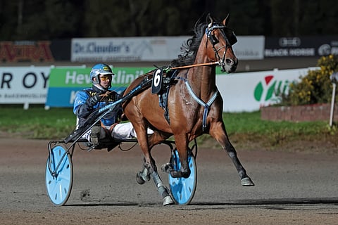 Juha Utalan valmentama ja ohjastama Brad Orden oli yksi Voimaeläincupin karsintavoittajista. Finaalissa se lähtee matkaan paalulta.