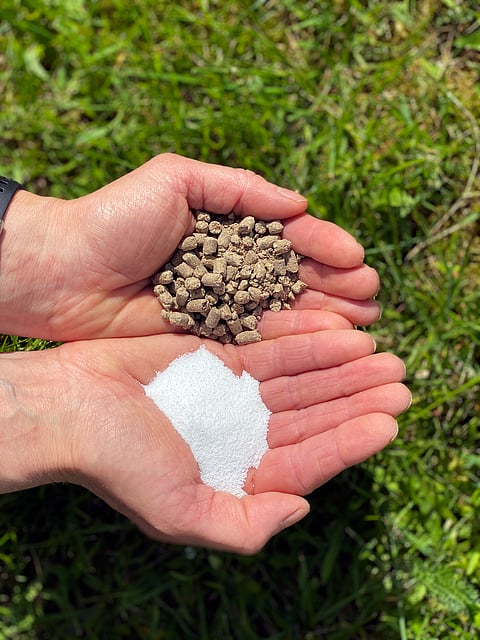 Nuoren hevosen liikunnan lisääntyessä tulevat kivennäisaineet tarpeeseen. Hikoilu nostaa etenkin natriumin ja magnesiumin tarvetta.