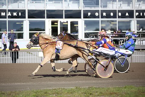 Amazonia kiritti parhaiten H.G. Loreen.