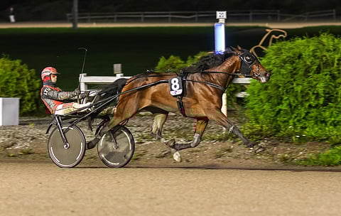 Lightning Stride oli karsintalähdöissä ainoa ykkössuosikki, joka piti pintansa.