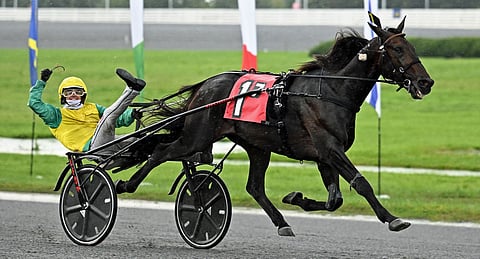 Vivid Wise Asin ylivoimaa, Matthieu Abrivard tuulettaa Yonkersin voittoa.