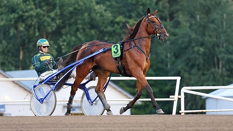 Suosikki Callela Nelson varmistetaan.
