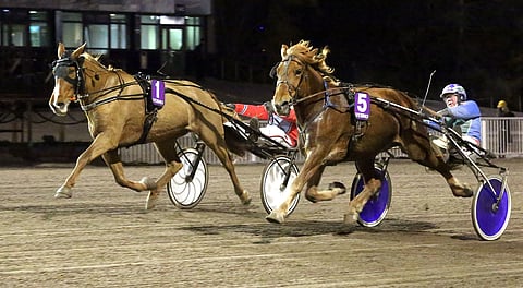 Varjonova (1) puristi tammojen välisessä voittoväännössä M.A. Pisteen ohi.