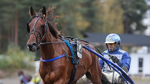 Mr Knowitall nappasi Jarmo Saarelan ohjastamana Kriteriumista kakkossijan.