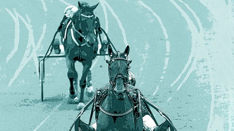 Sivustolla käytetty ja muun muassa hevostietokannan sisältänyt järjestelmä tuli teknisen käyttöikänsä päähän.