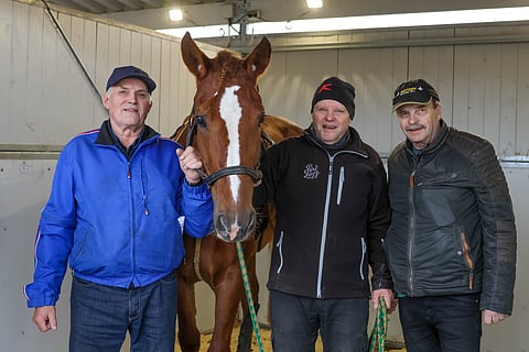 Neiti Sävel on 3-vuotiaiden suomenhevostammojen suunnannäyttäjä. Hevosen ympärillä Paavo Hietala, Markku Kinnunen ja Seppo Hietala.