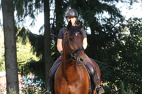 Hanne-Mari Kiuttu ja Chérubin.