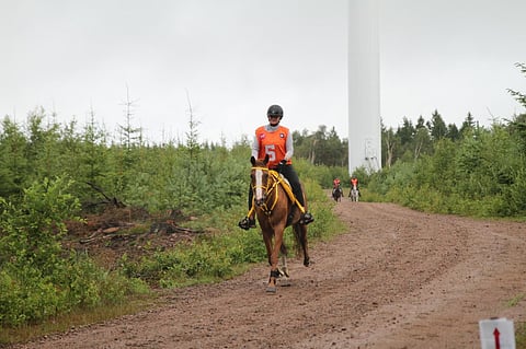 Nea Mickelsson ja Tersox.