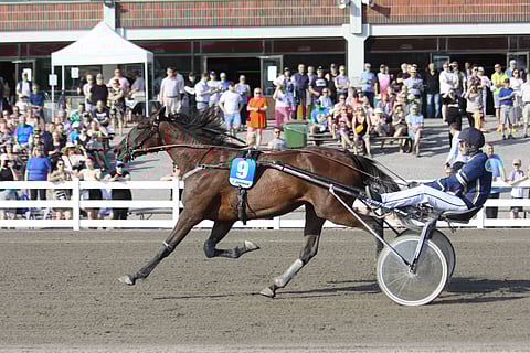 Insorto voitti ensimmäisen starttinsa Jokimaalla 30.6. Tino Paldanin ohjastamana.