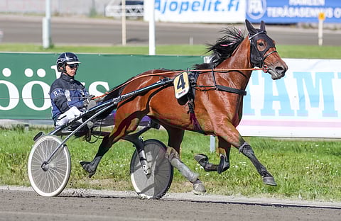 Reality Hill sijoittui elokuisessa Teivon Toto75-lähdössä kakkoseksi. Kuvassa hevosta lämmittää Robert Lindgren.