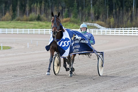 Vuosi sitten Jokimaa teki tähden Informed Amista.