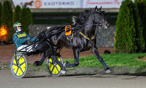 Grislefaksen G.L. voitti Turun PM-kisan Hannu Torvisen ajamana.