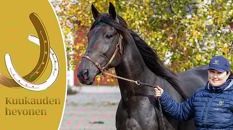 Crepe Match ja Gisela Koivu.