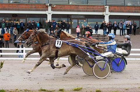 Siirin Santtu kurkotti syksyllä Jokimaalla Toto75-voittoon ennen Kukkarosuon Kurkoa.